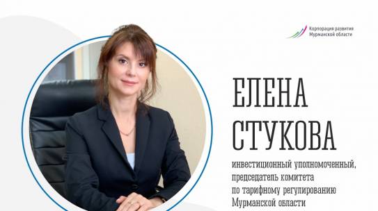 18 марта 2021 года в Мурманской области был создан Институт инвестиционных уполномоченных
