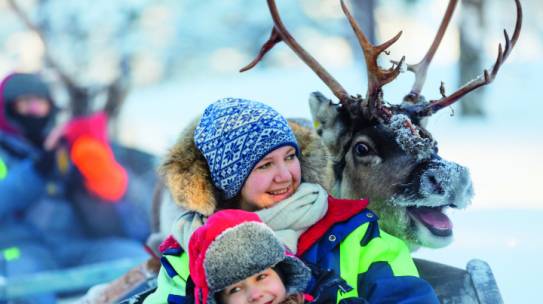 Новый резидент АЗРФ в Мурманской области покажет туристам северное сияние и устроит прогулки на оленях